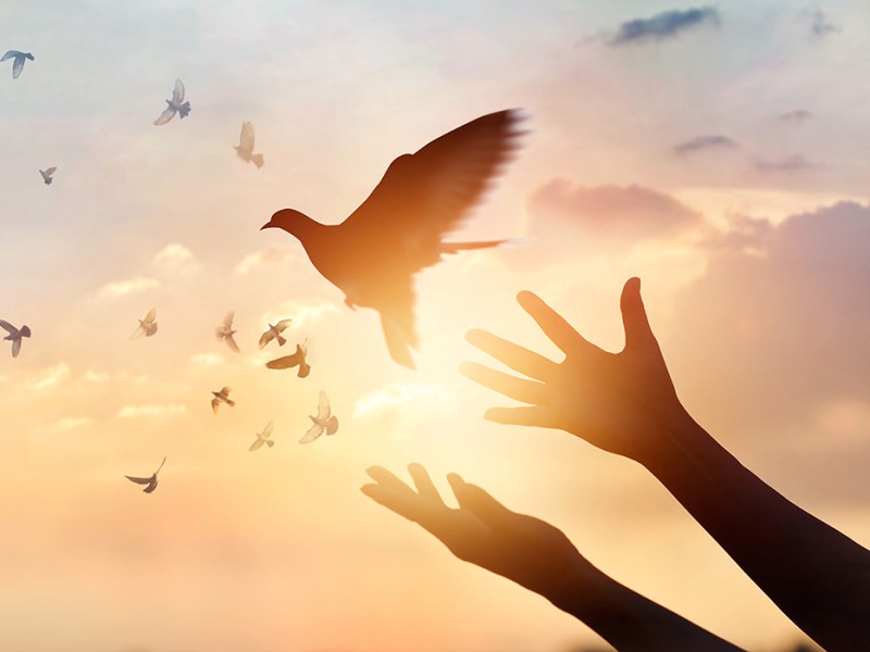 How to Heal Apathy&nbsp;(Despair)