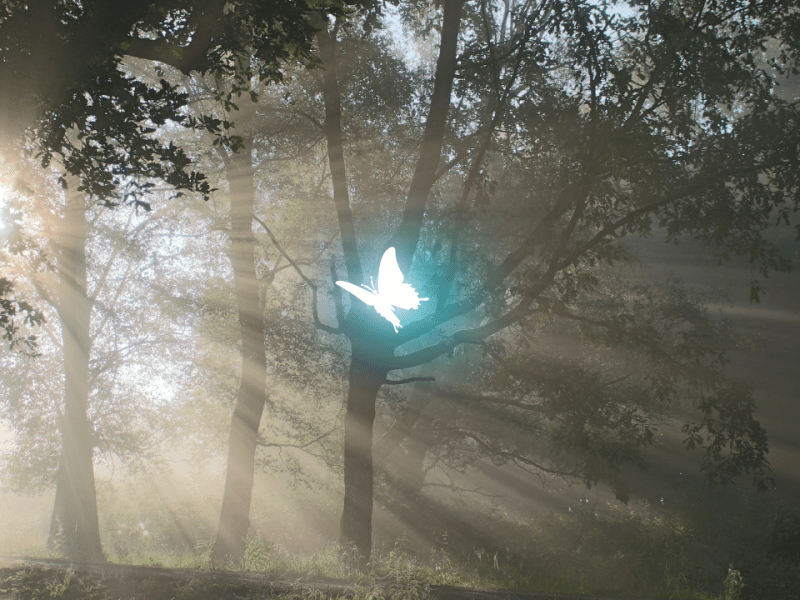 We’re So Back.. Life Updates and&nbsp;Reminders